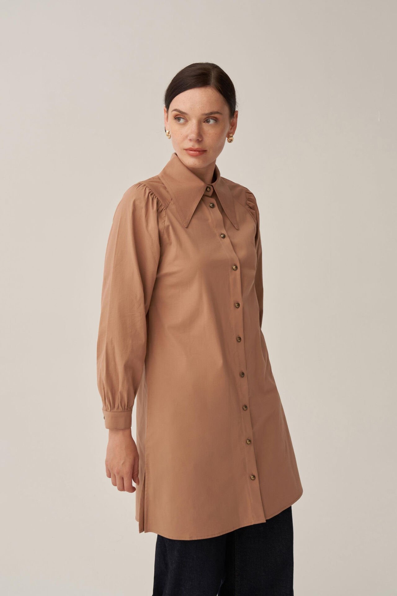 Allday BDX51348AL0 Vizon Kadın Sivri Yakalı Poplin Gömlek