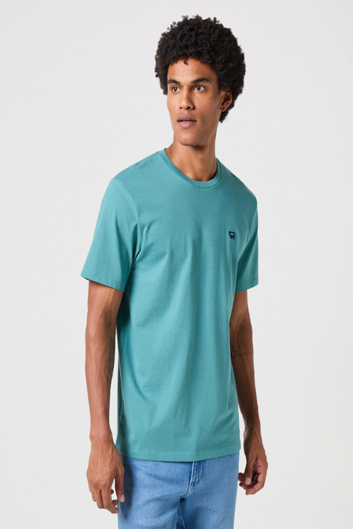 Wrangler W7NM203877W25 Yeşil Erkek Regular Fit Rahat Kesim Bisiklet Yaka Rahat Tşört