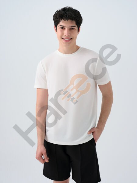 Loft 2038850 Ekru Erkek Regular Fit Bisiklet Yaka T-shirt