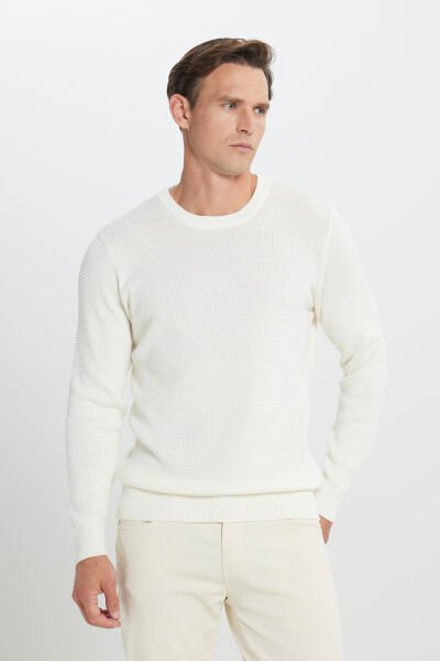 Altınyıldız ACE492510064 Ekru Erkek Bisiklet Yaka Sünger Desen Kazak