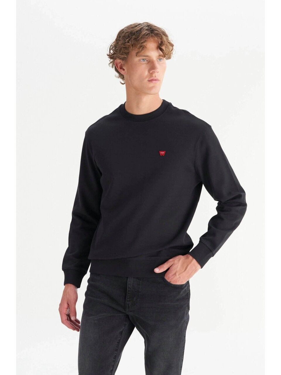 Wrangler W2520255001 Siyah Erkek Bisiklet Yaka Regular Fit Sweatshirt