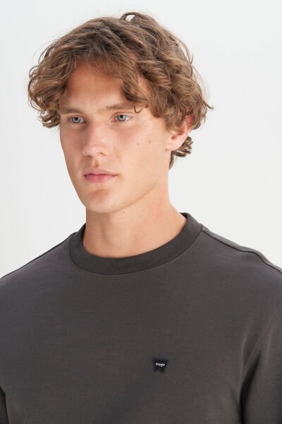 Wrangler W252025533W Antrasit Erkek Bisiklet Yaka Regular Fit Sweatshirt